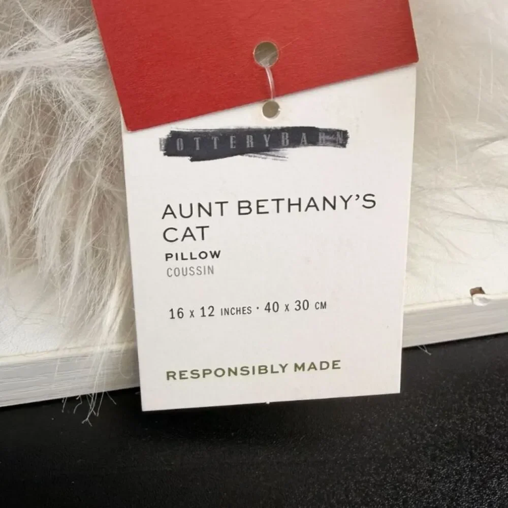 Pottery Barn National Lampoon’s Christmas Vacation Aunt Bethany's Cat Pillow NEW